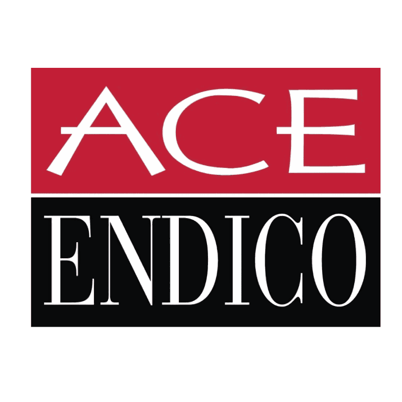 ACE Endico logo with red, white, and black color scheme representing quality food distribution services.